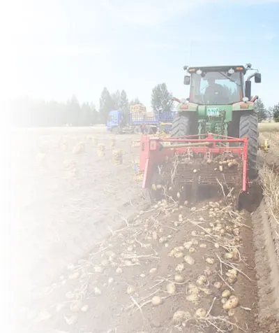 Les-recolteuses-a-pommes-de-terre